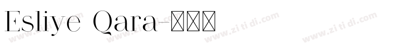 Esliye Qara字体转换
